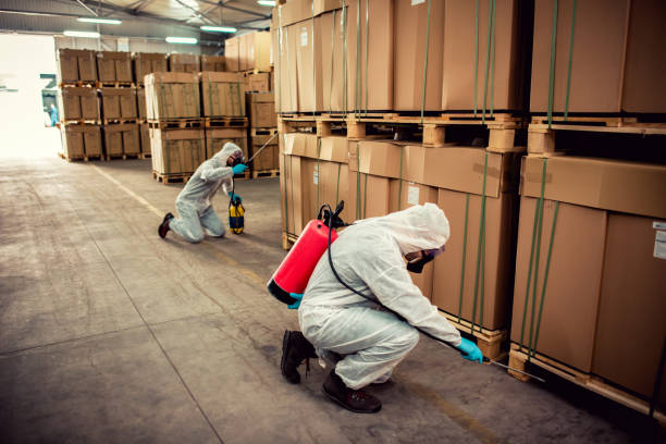 Best Termite Control Services  in Rock Creek, AL