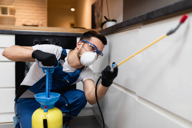 Best Pest Prevention Services  in Rock Creek, AL