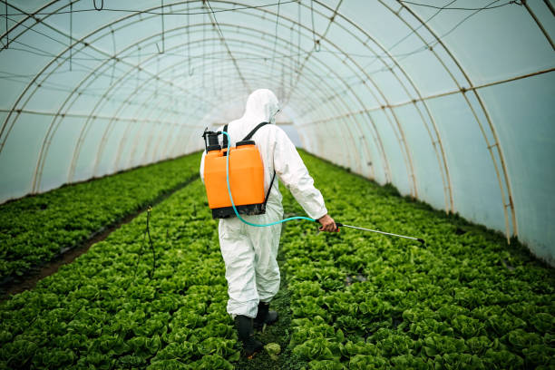 Pest Control for Restaurants in Rock Creek, AL