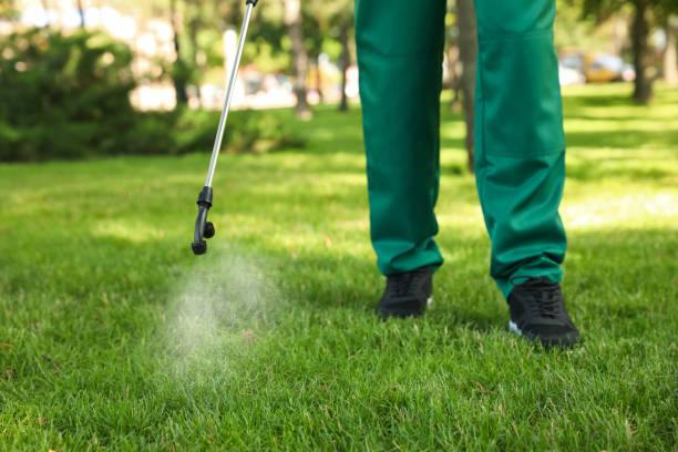 Best Residential Pest Control  in Rock Creek, AL