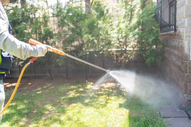 Best Ant Control Services  in Rock Creek, AL